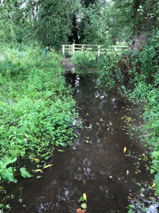 Turnpike Field