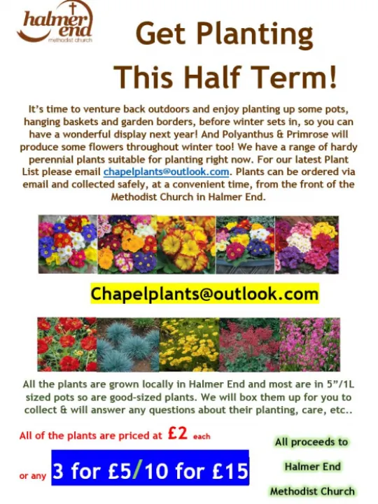Half Term Flyer