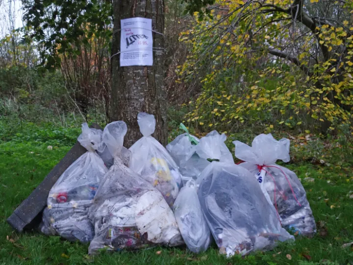 Jims litter