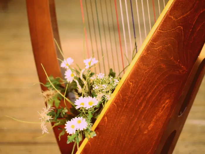 Harp