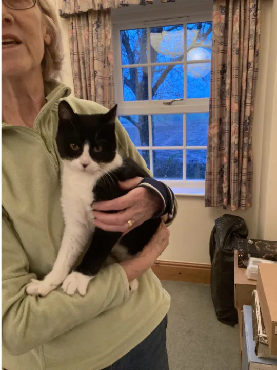 cat janet