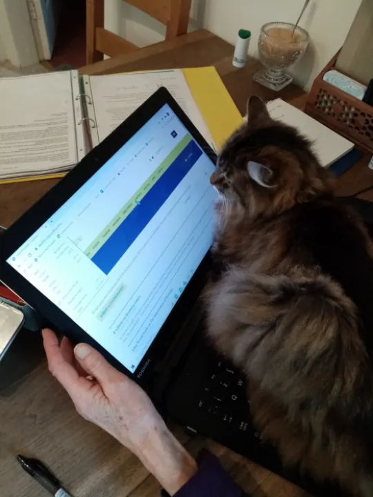 CAT box on AOL