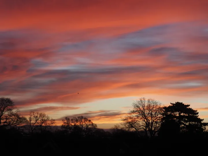sunrise moorsfield
