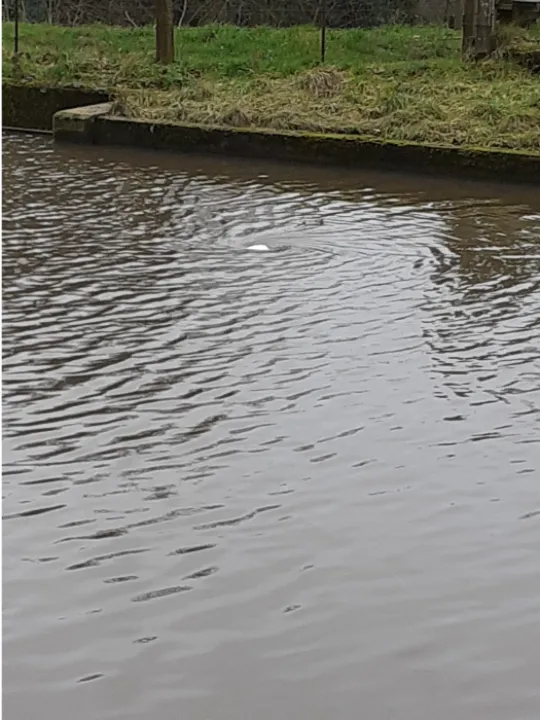 another whirlpool