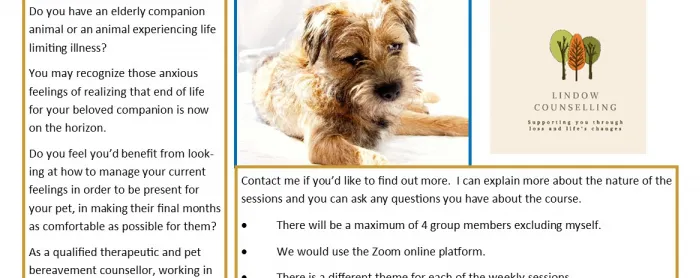 anticipatory pet loss flyer A5 Mar 2021