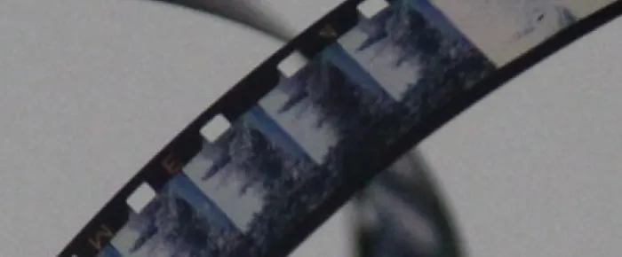 film reel, camera reel