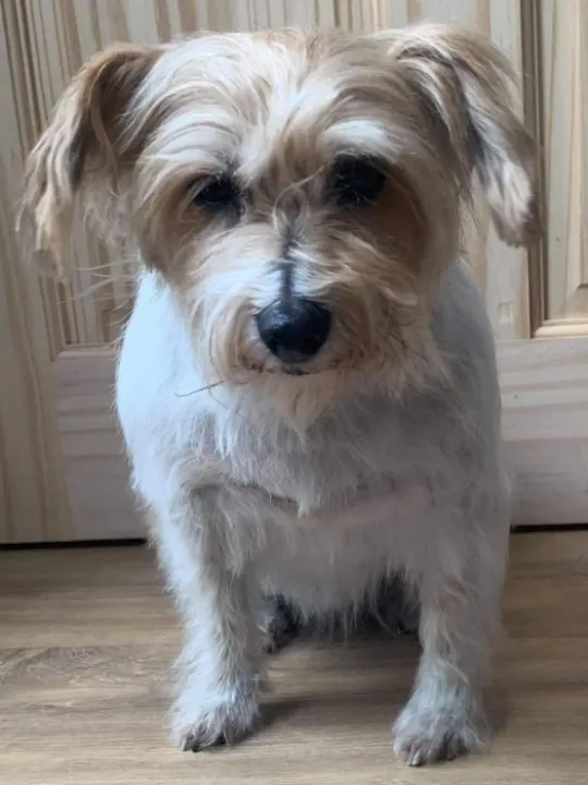 tilly-M564626-webp