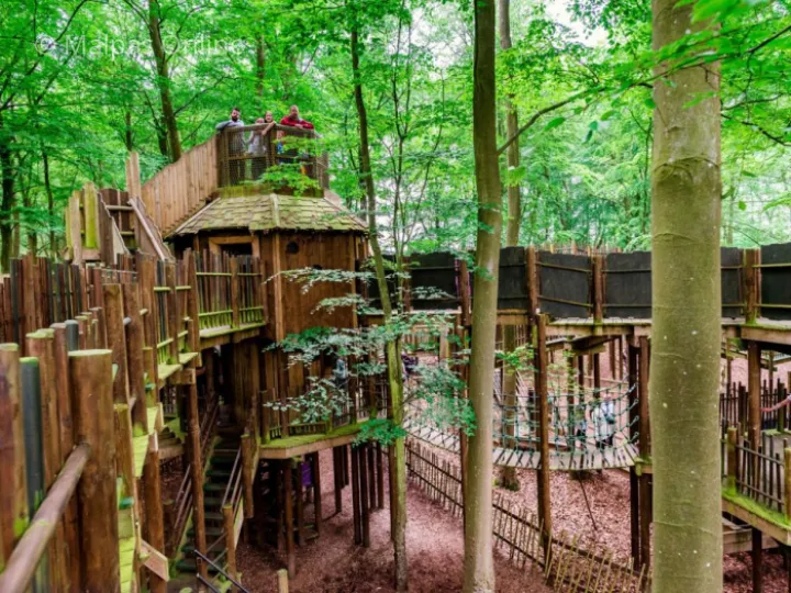 BeWILDerwood