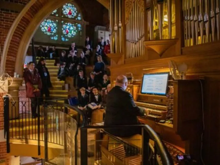 Organ