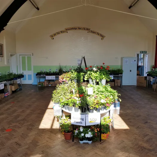 Plant Fair 1