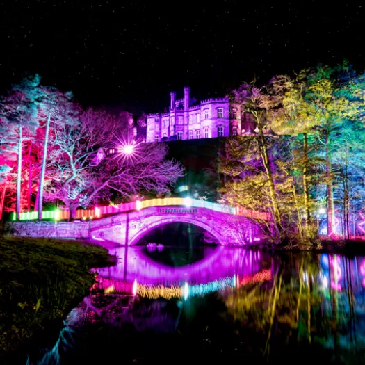 bolesworth-christmas-lights