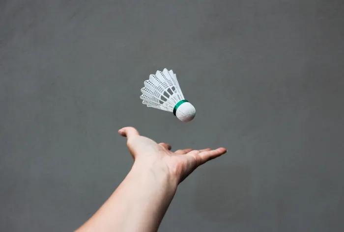 Badminton