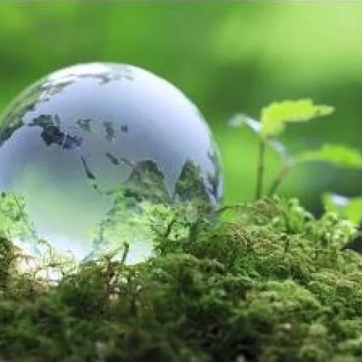 Eco Church