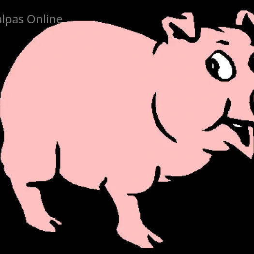 pig