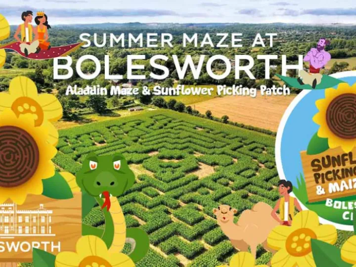 bolesworth sunflowers_sfx8968