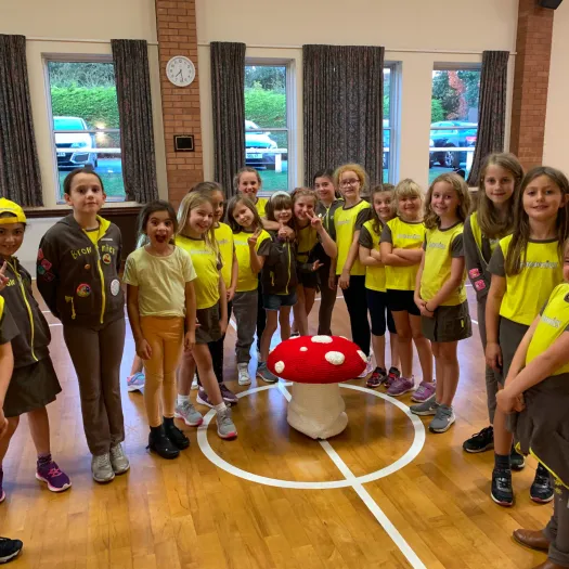 1st Kelsall Brownies