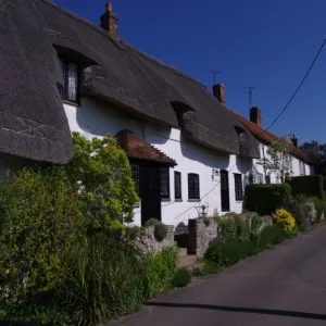 Dinton