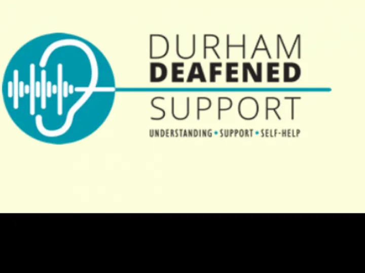 DDS logo