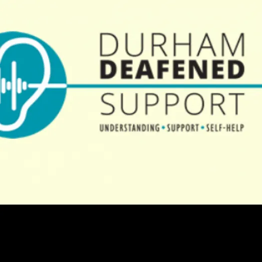 DDS logo