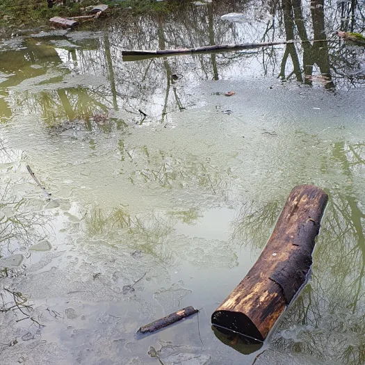 Vandalism at Snakemoor