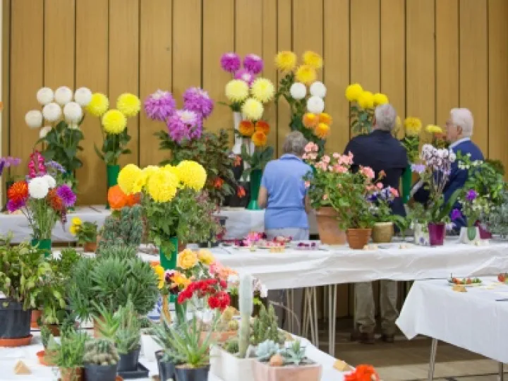 Annual Show 01