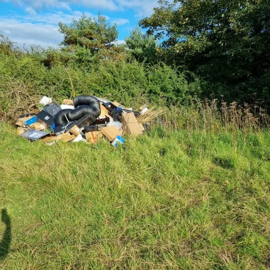 Fly 3