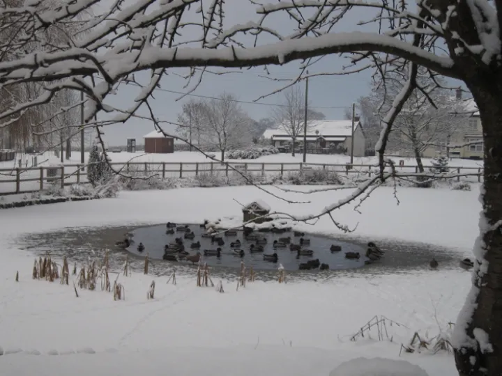 Hankelow in winter