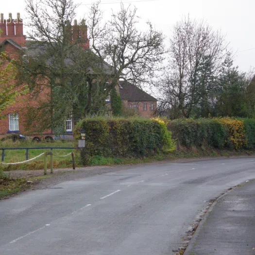 Mount View Farm