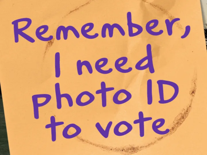Voters