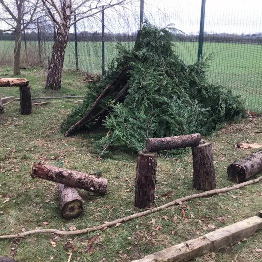 Forest schools