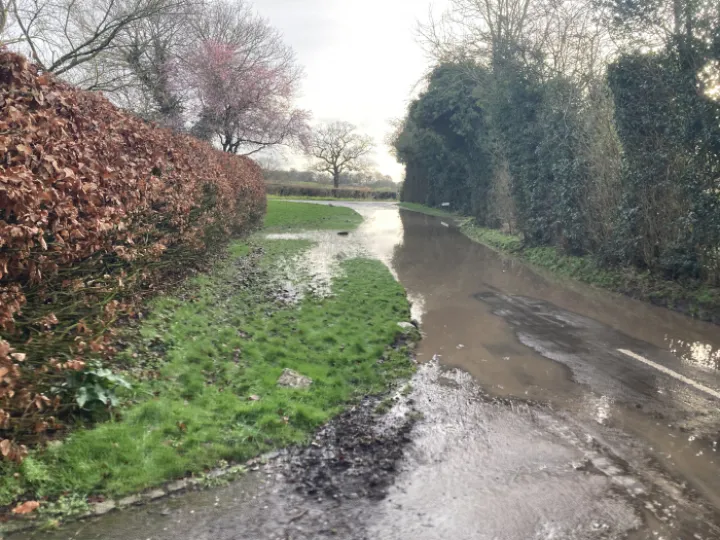 Wood Orchard Lane