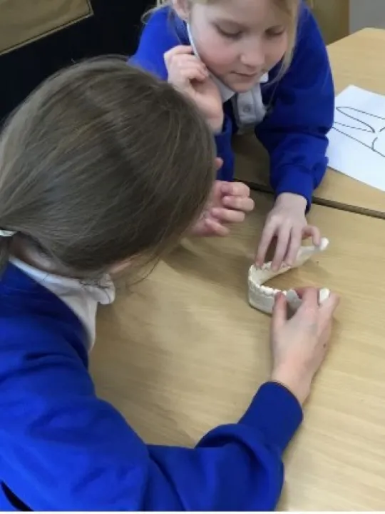 Y4 science week Y4