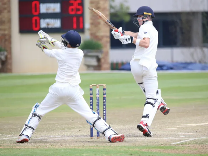 Men Playing Cricket 