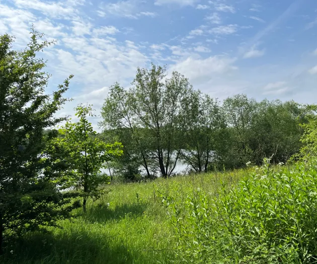 Wellbeing Walk