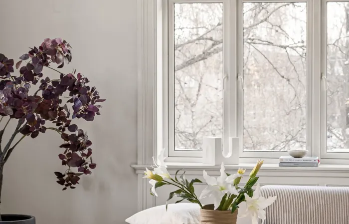Window With Flowers
