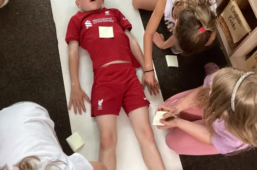 Y3 Science Human body