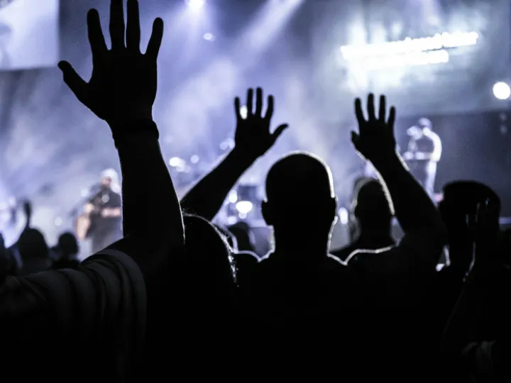 Group of People Raising Hands Silhouette Photography