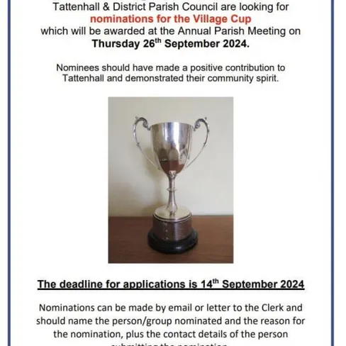 Village Cup