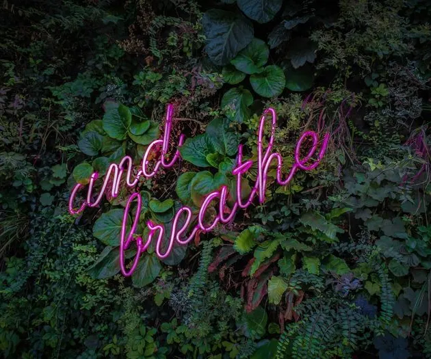 And Breathe by Victor On Unsplash