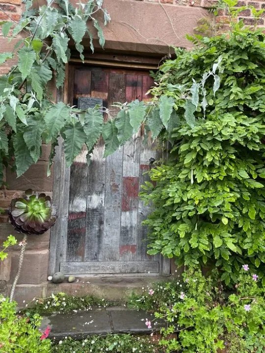 Garden September 24