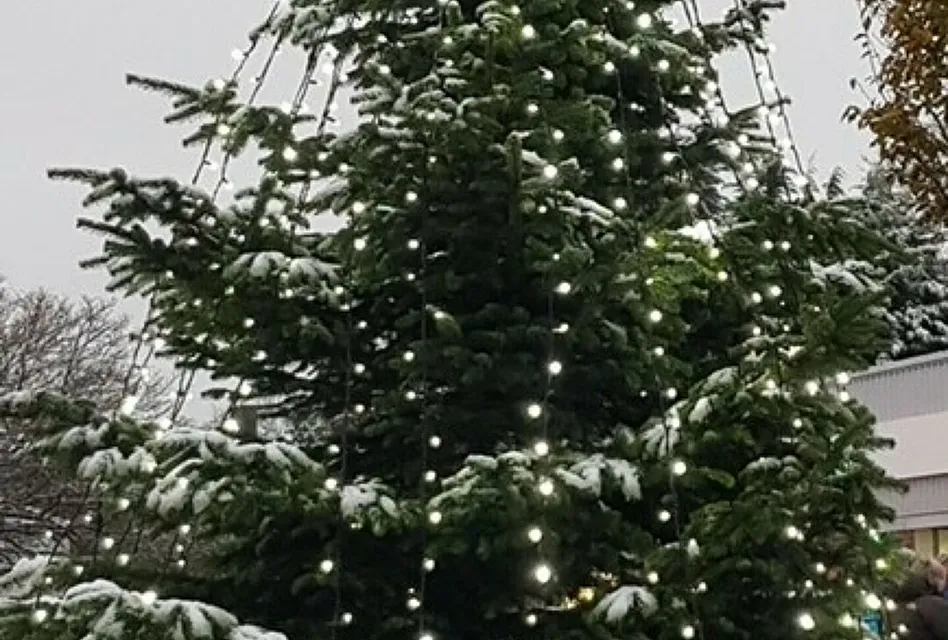 Xmas Tree 2