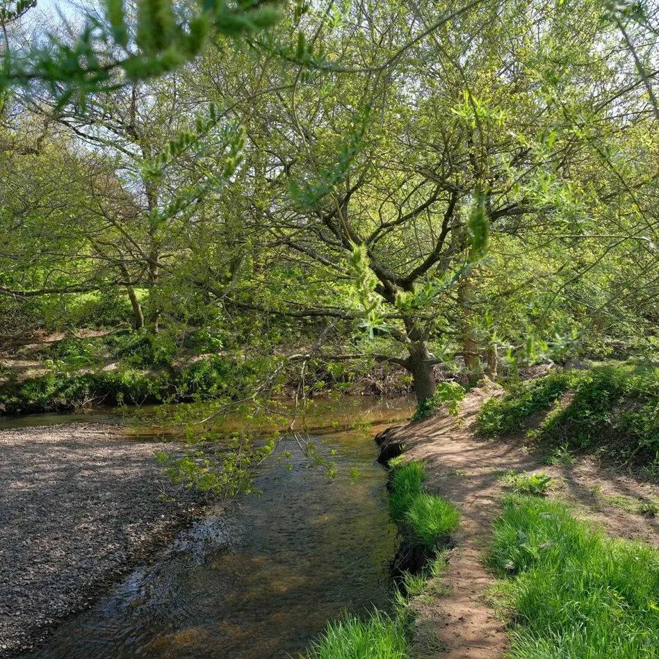 Mersey Forest river Bollin