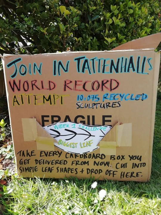 World Record Attempt 01
