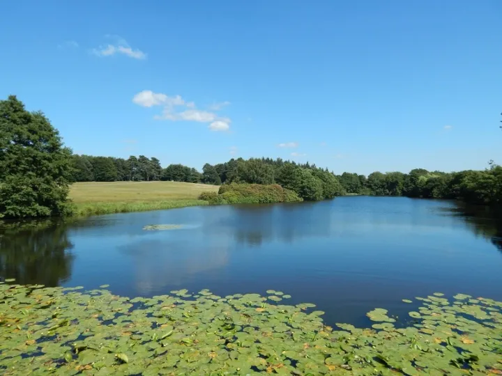 Capesthorne 3