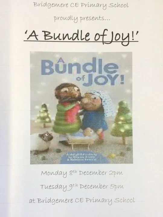 Bundle of Joy