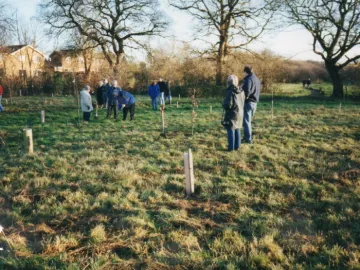 tarvin woodland 2000