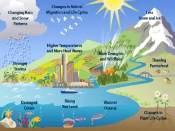 Global-Climate-Change 03