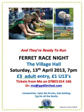 Ferret Racing Poster
