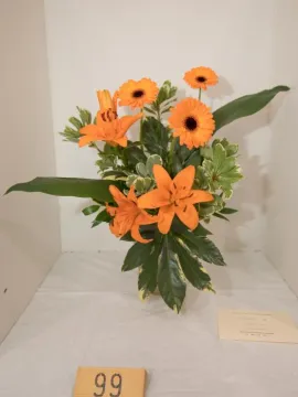 HHS Show 19