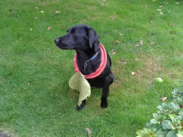 E710AA81-AA29-4403-AB2F-71A0B2DAEDFA